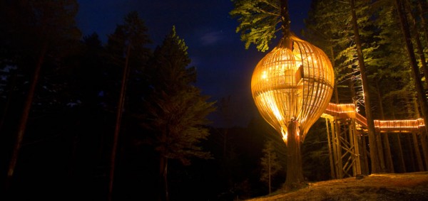 Rredwood tree house