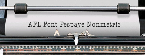 AFL Font Pespaye Nonmetric AFL Font Pespaye Nonmetric via YouTheDesigner