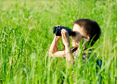 iStock_000016484352XSmall