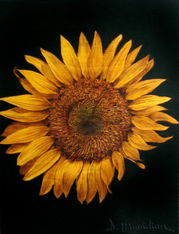 "Sun Friendly" - pyrography by Muradino "Sun Friendly" - pyrography by Muradino