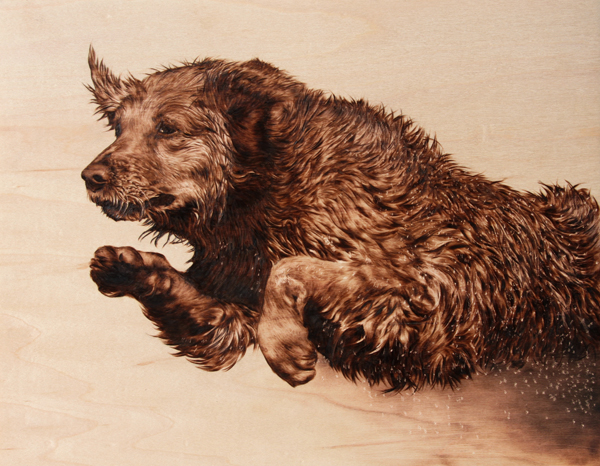"Pick One" - pyrography by Julie Bender "Pick One" - pyrography by Julie Bender