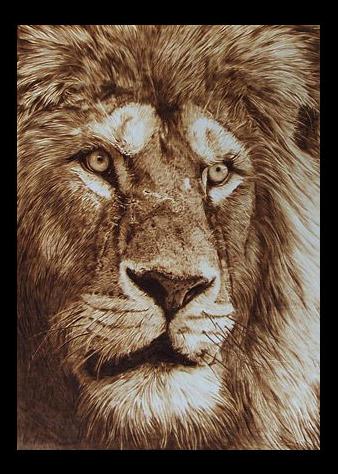 "Leone" - pyrography by Davide Della Noce "Leone" - pyrography by Davide Della Noce