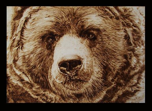 "Bear" - pyrography by Davide Della Noce "Bear" - pyrography by Davide Della Noce