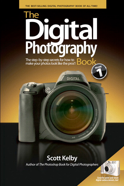 blog book11