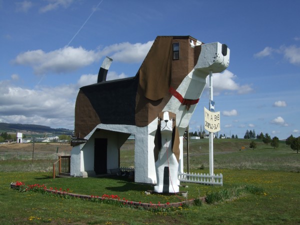 dog bark park exterior dog bark park exterior via You The Designer