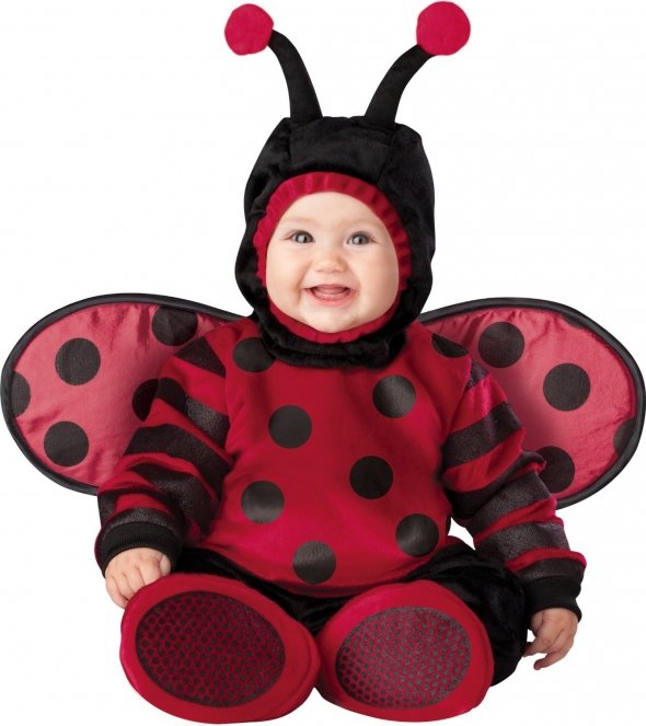 lady bug