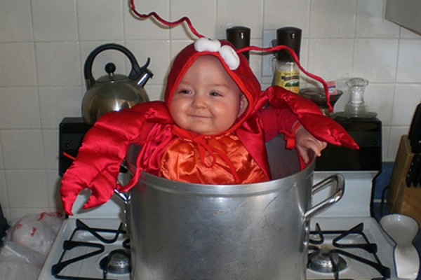lobster