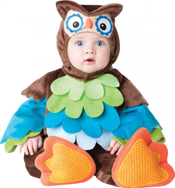 owl