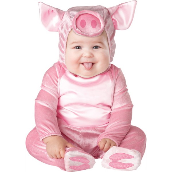 pig