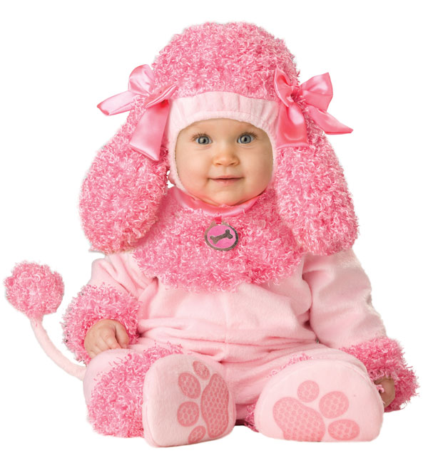 poodle