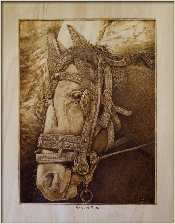 "Horse at Petra" – pyrography by David Stanley "Horse at Petra" – pyrography by David Stanley