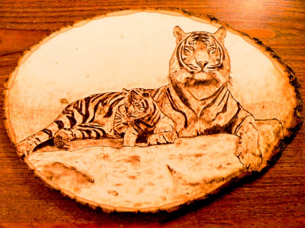 "Tiger and Cub" - pyrography by Brandon Jones "Tiger and Cub" - pyrography by Brandon Jones