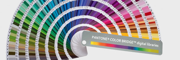 pantone