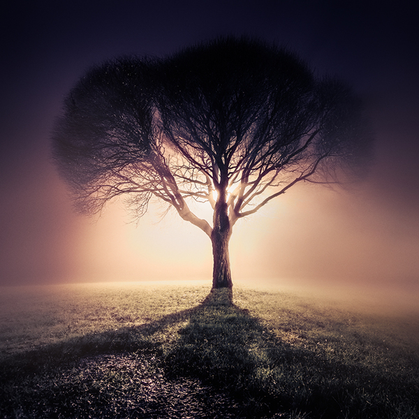 Photography by Mikko Lagerstedt Photography by Mikko Lagerstedt