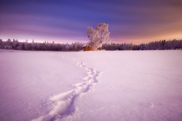 Photography by Mikko Lagerstedt Photography by Mikko Lagerstedt
