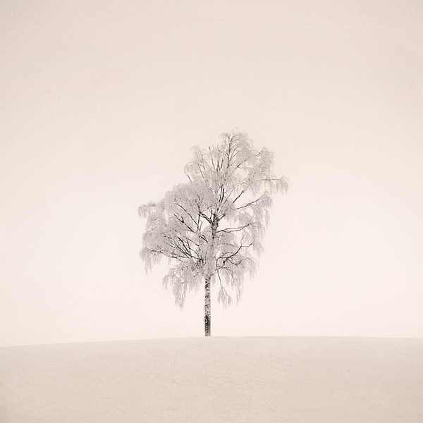Photography by Mikko Lagerstedt Photography by Mikko Lagerstedt