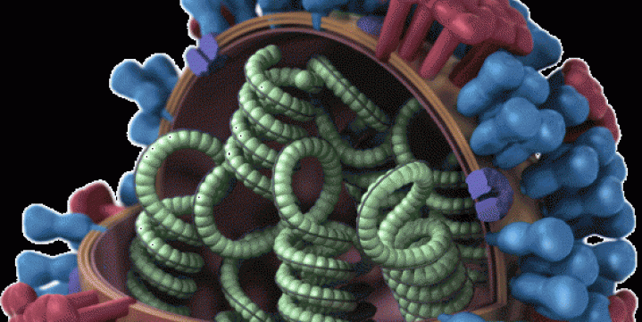 3D_Influenza_transparent_key_pieslice_lrg