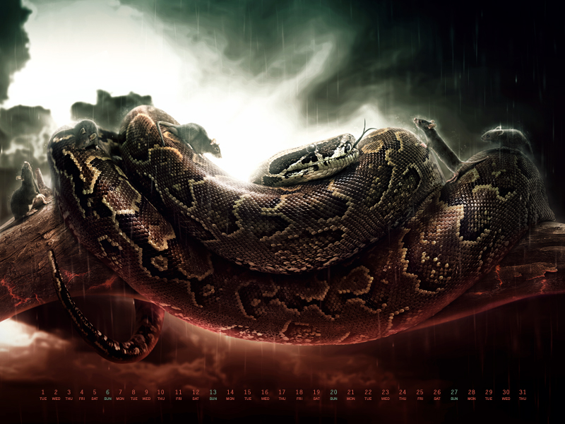 Wallpaper Freebie for January 2013: "Wrath of the Snake" by You The Designer Wallpaper Freebie for January 2013: "Wrath of the Snake" by You The Designer