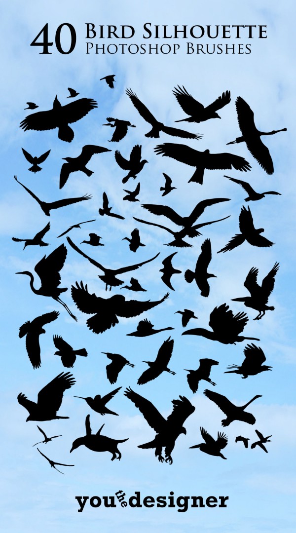 40 Bird Silhouette Photoshop Brushes by You The Designer 40 Bird Silhouette Photoshop Brushes by You The Designer