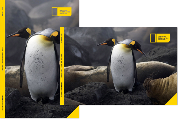 NatGeo Rebranding Project | Magazine NatGeo Rebranding Project | Magazine