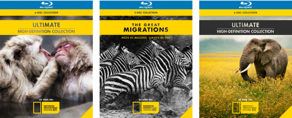 NatGeo Rebranding Project | Blue Ray Covers NatGeo Rebranding Project | Blue Ray Covers