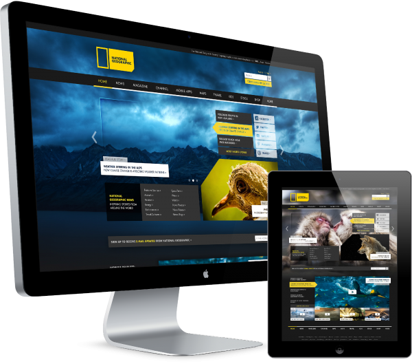 NatGeo Rebranding Project | Website NatGeo Rebranding Project | Website