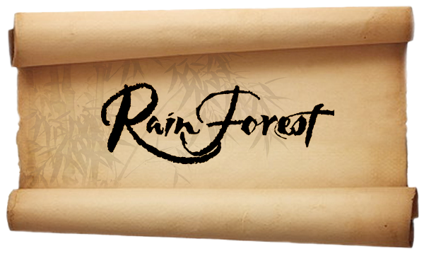 Rain Forest Rain Forest