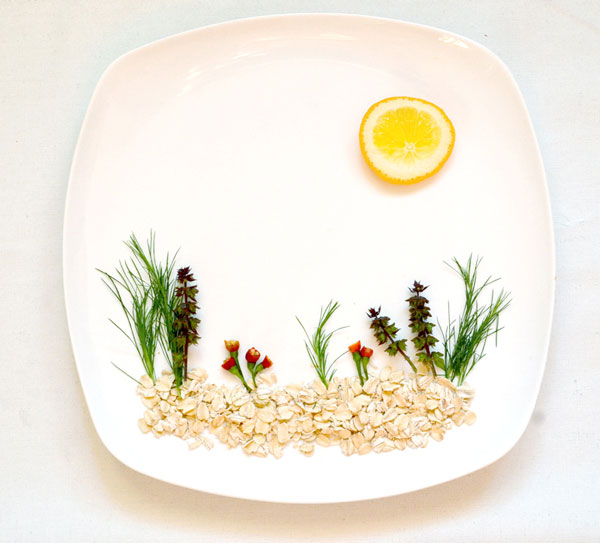 A tiny garden with a lemon sun