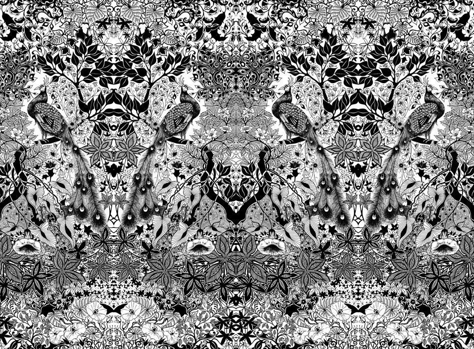 Illustration by Johanna Basford Illustration by Johanna Basford