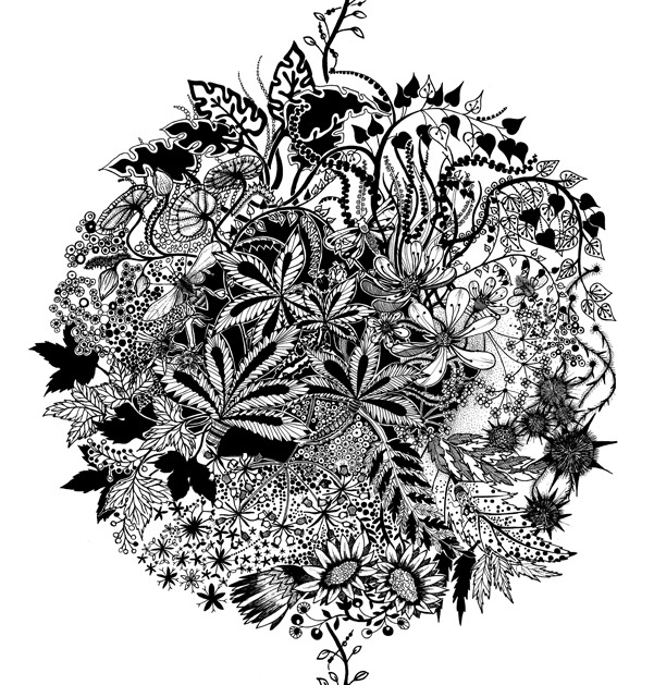 Illustration by Johanna Basford Illustration by Johanna Basford