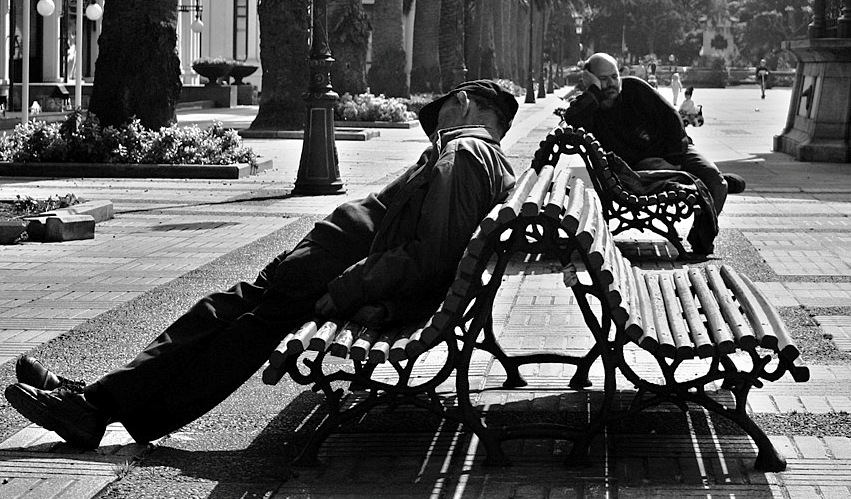 Julio Rojas - Day Sleepers via Wikimedia Commons CC Julio Rojas - Day Sleepers via Wikimedia Commons CC