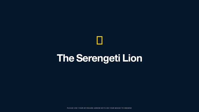 National Geographic | Serengeti Lion National Geographic | Serengeti Lion