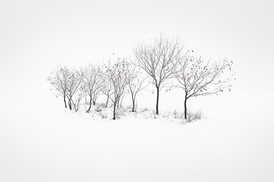 Paks, Hungary | Akos Major Photography Paks, Hungary | Akos Major Photography