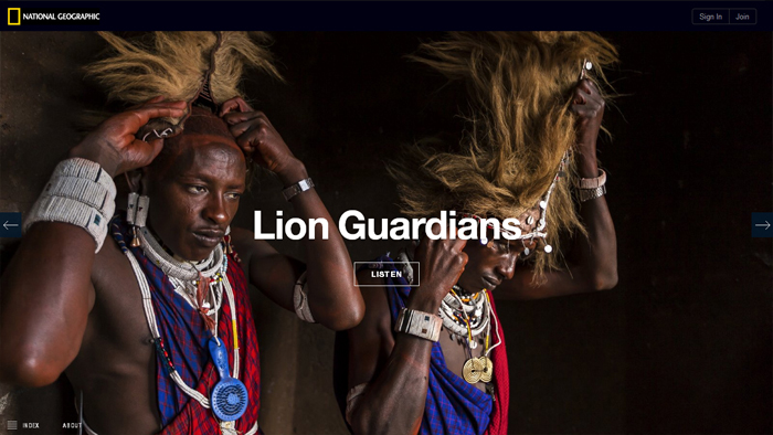 The Serengeti Lion | National Geographic The Serengeti Lion | National Geographic