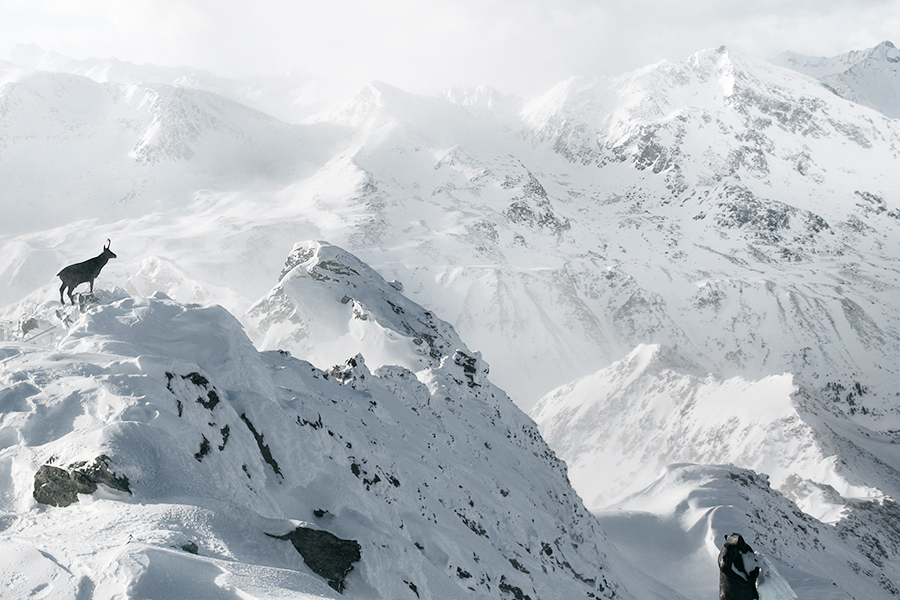 Alps, Austria | Akos Major Photography Alps, Austria | Akos Major Photography