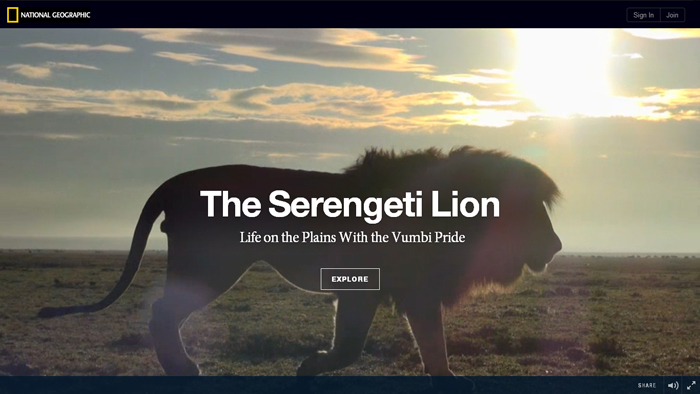 National Geographic | The Serengeti Lion National Geographic | The Serengeti Lion