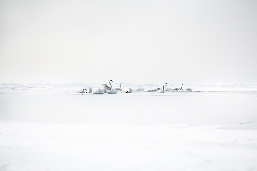 Lumen | Akos Major Photography Lumen | Akos Major Photography