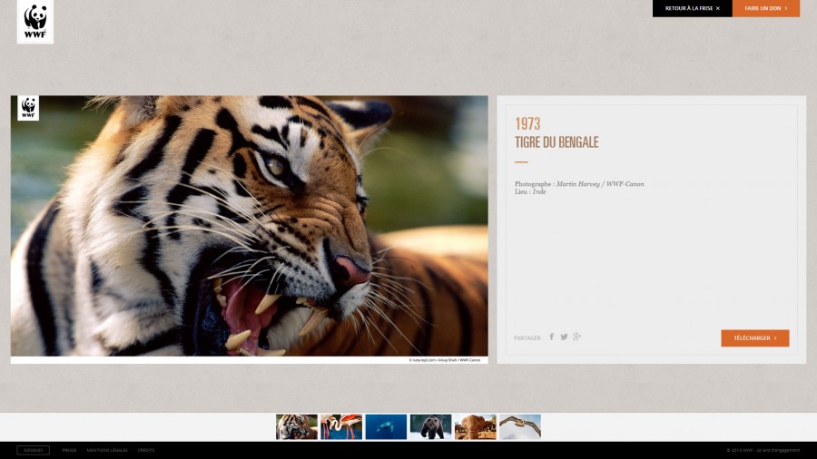 awesome-web-design-of-the-week-wwf-004 awesome web design