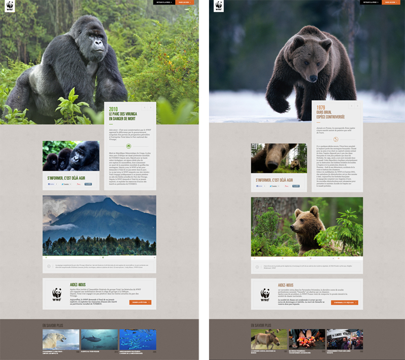 awesome-web-design-of-the-week-wwf-007 awesome web design