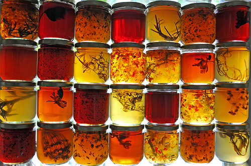 Jams and Jellies: archer10 (Dennis) via photopin cc Jams and Jellies: archer10 (Dennis) via photopin cc