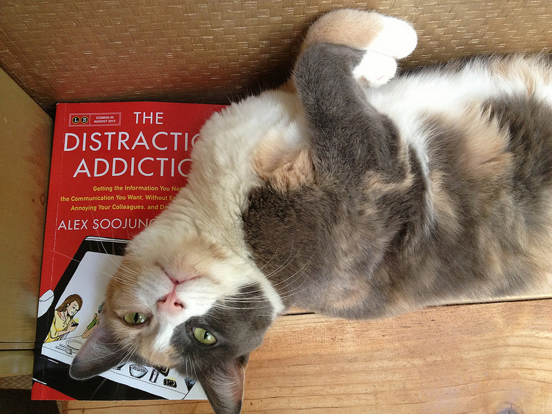 Distraction: askpang via photopin cc Distraction: askpang via photopin cc
