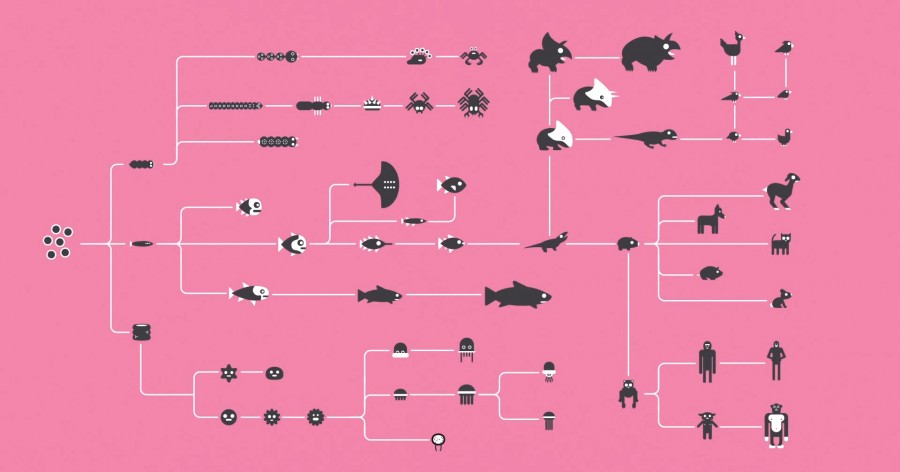 The History and Future of Everything The History and Future of Everything