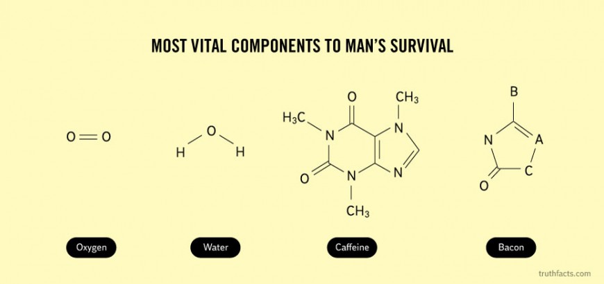 Truth Facts Hilarious Infographics