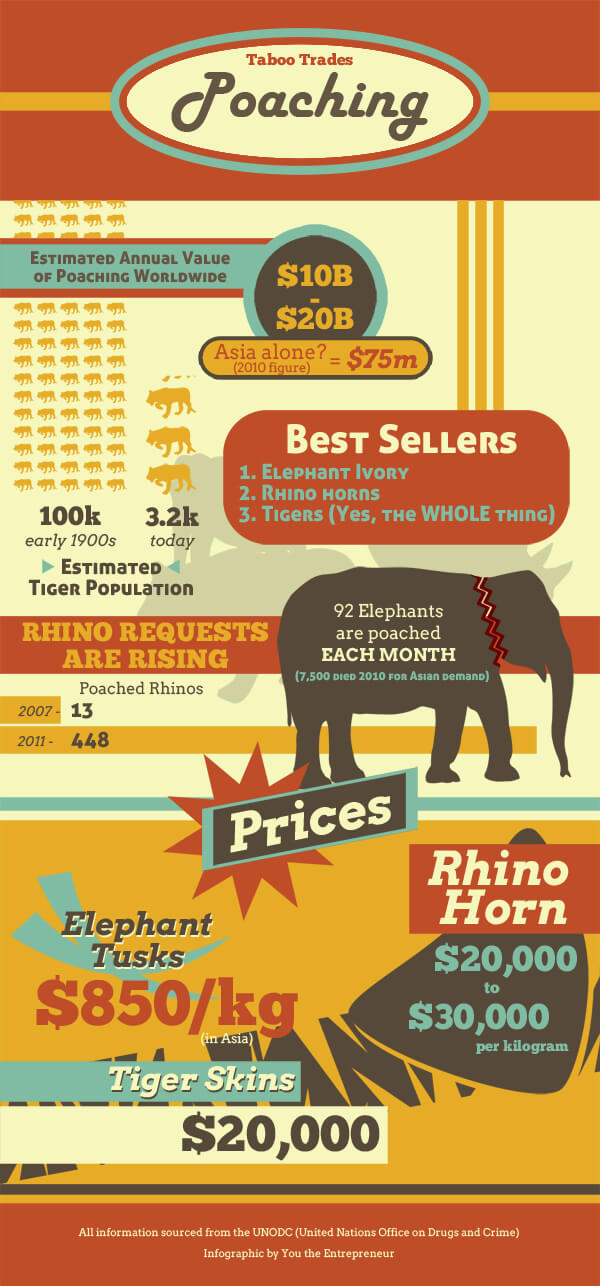 Infographic-Animals