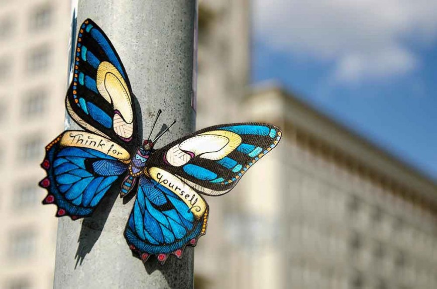 butterfly-effect-Andreas-Preis-1