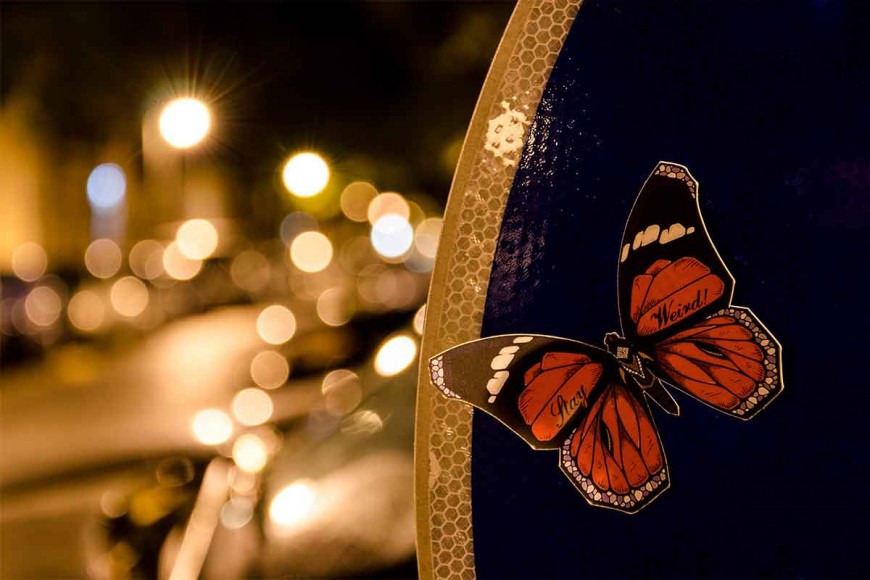 butterfly-effect-Andreas-Preis-14