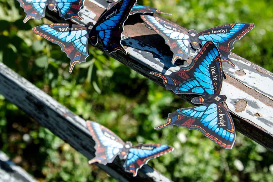 butterfly-effect-Andreas-Preis-17