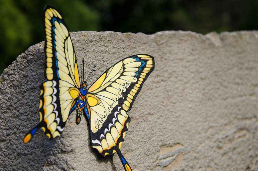 butterfly-effect-Andreas-Preis-3
