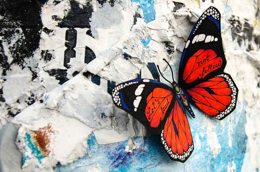 butterfly-effect-Andreas-Preis-6