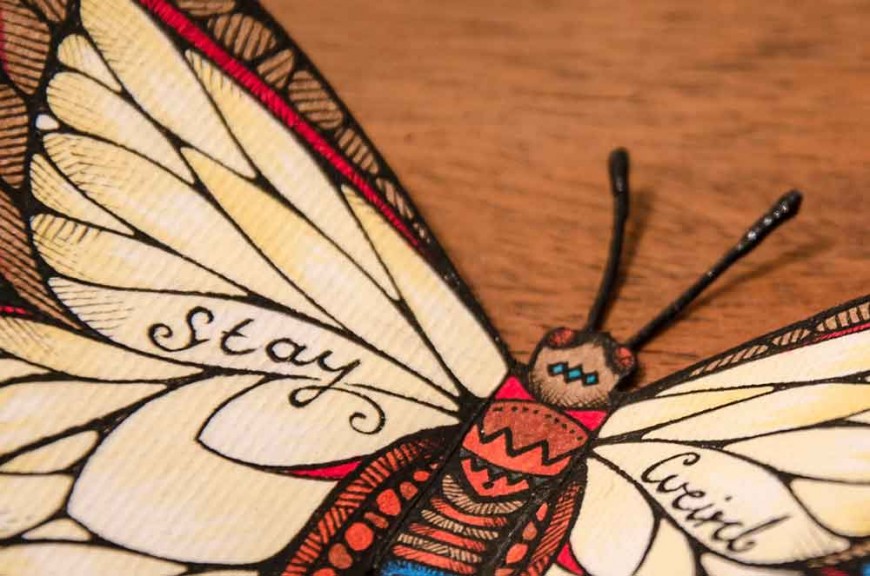 butterfly-effect-Andreas-Preis-7